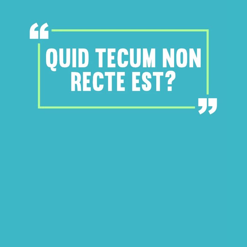 Latin Funny Latin Saying