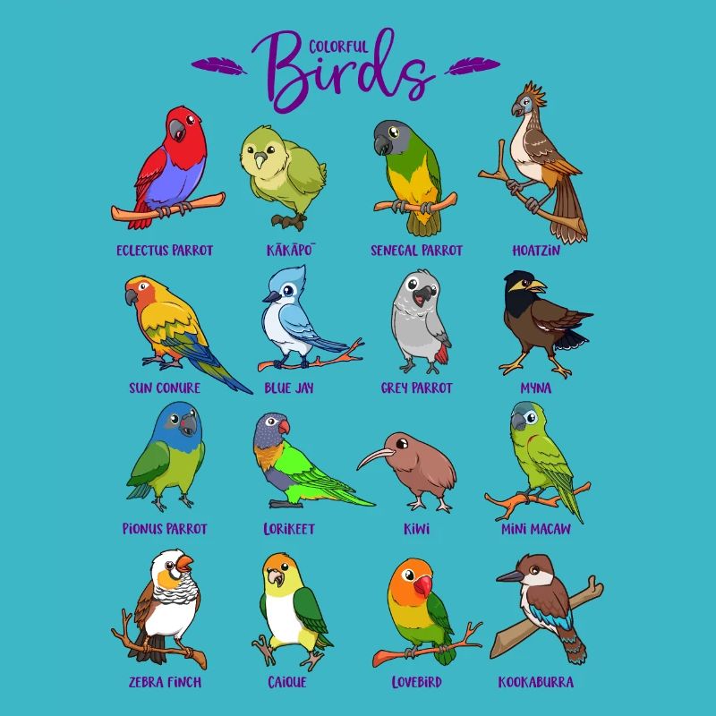 Différents oiseaux de dessin animé