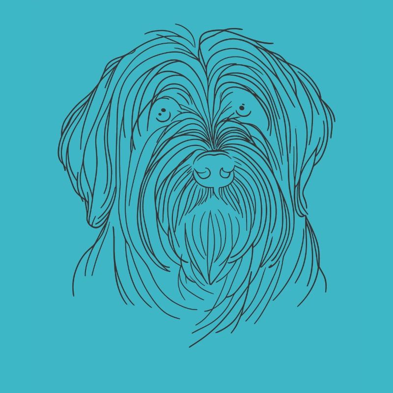 Dessin au trait Briard Briards