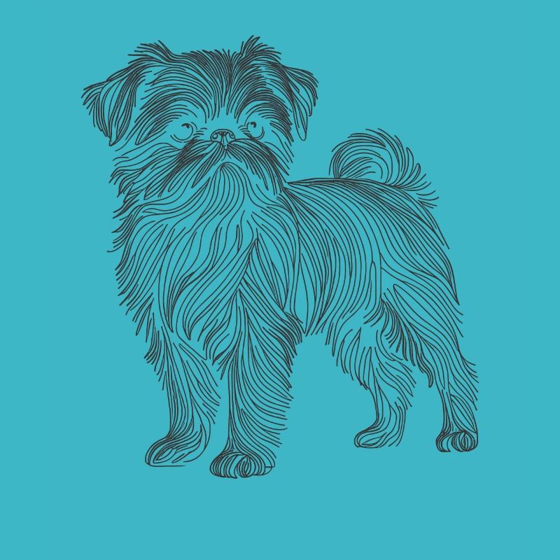 Line Art Brussels Griffon Griffon Bruxellois