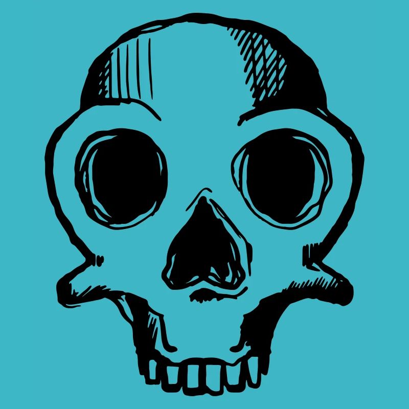 skull 1c
