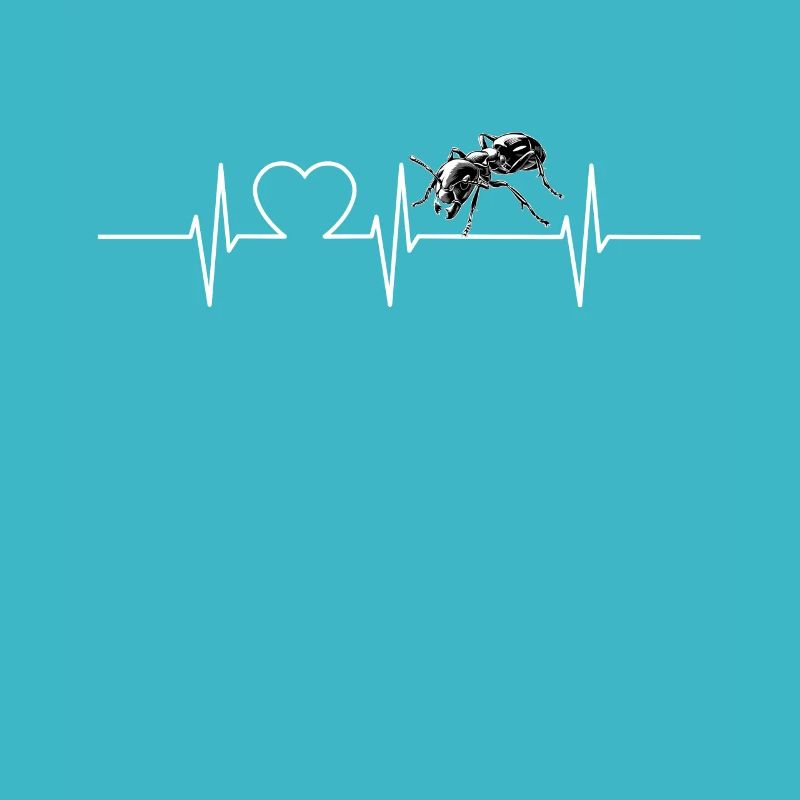 Fourmis fourmis