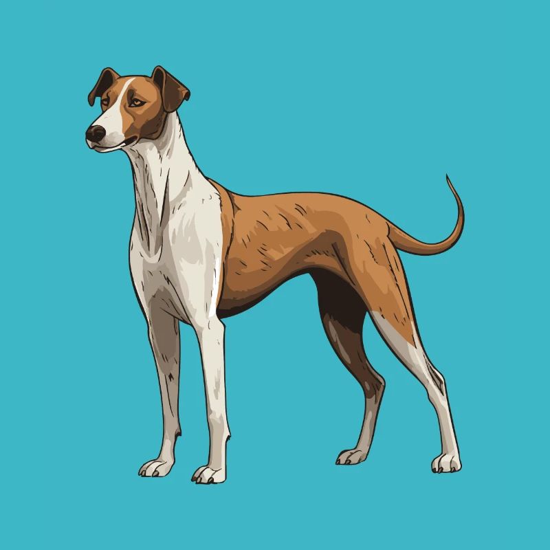 Greyhound Hund Tier