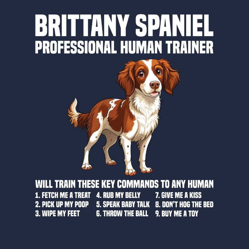 Dog Brittany Spaniel Professional Human Trainer