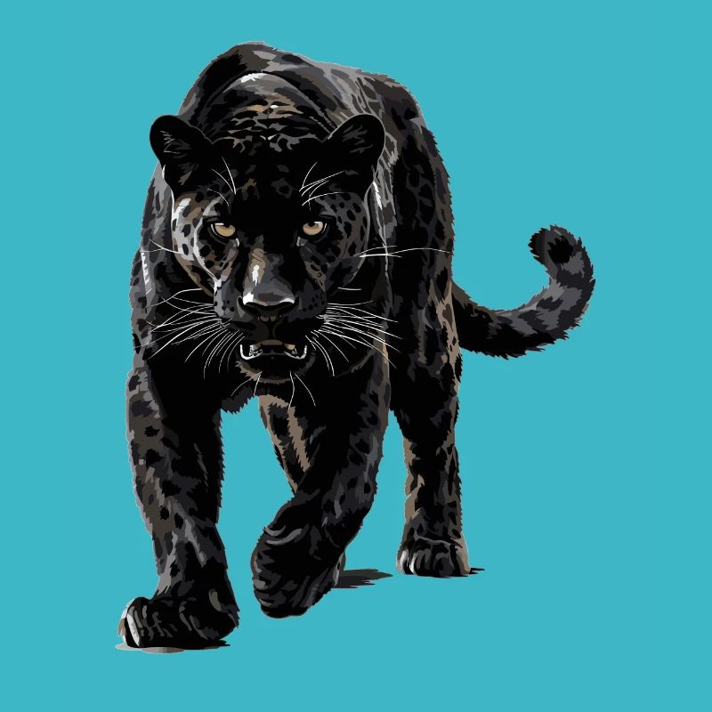 Panthers Panther