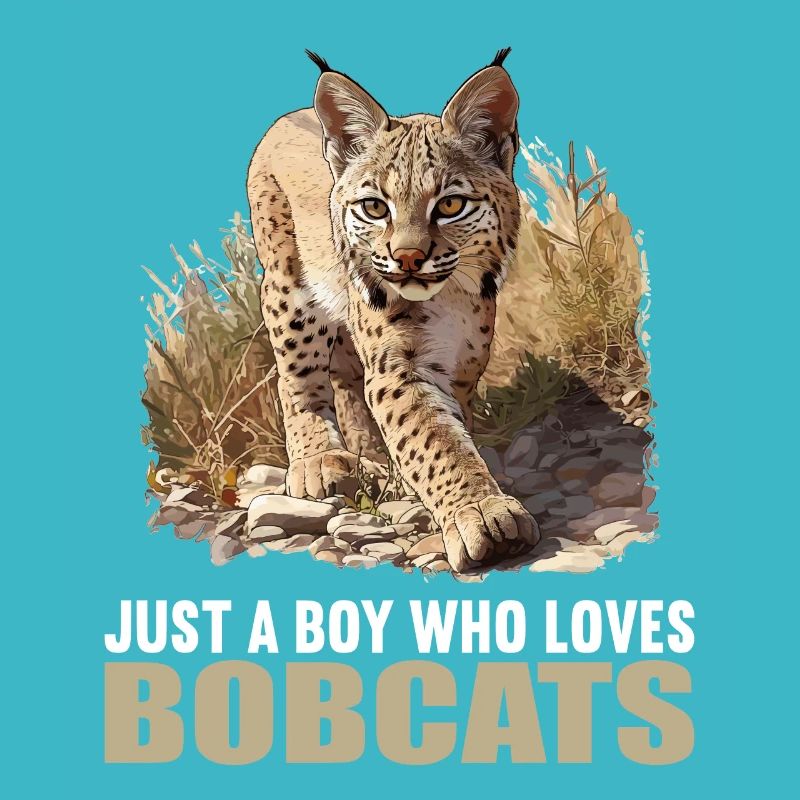 Bobcats Rotluchse Rotluchs Luchs
