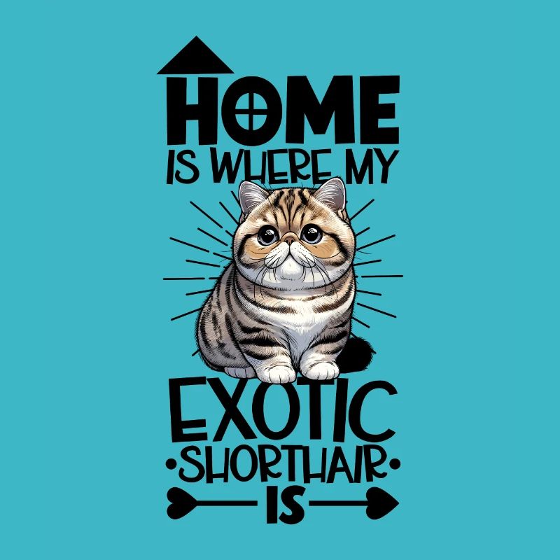 Accueil - Exotic Shorthair