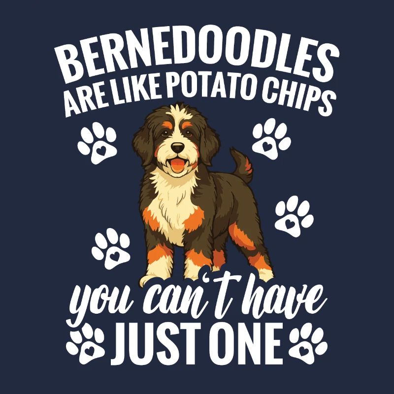 Les Bernedoodles sont comme des chips que vous pouvez