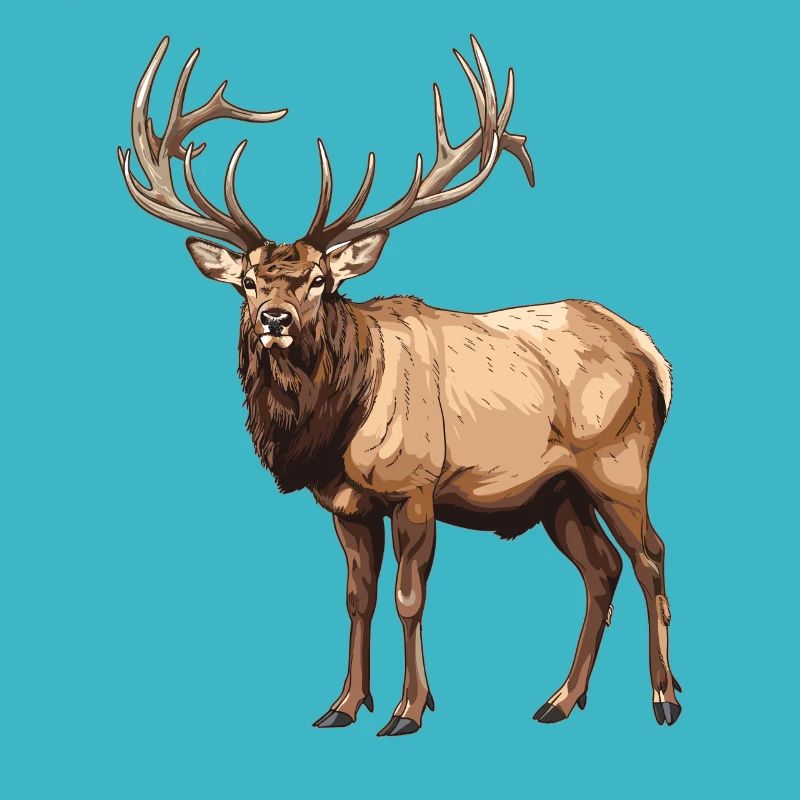 Moose Moose