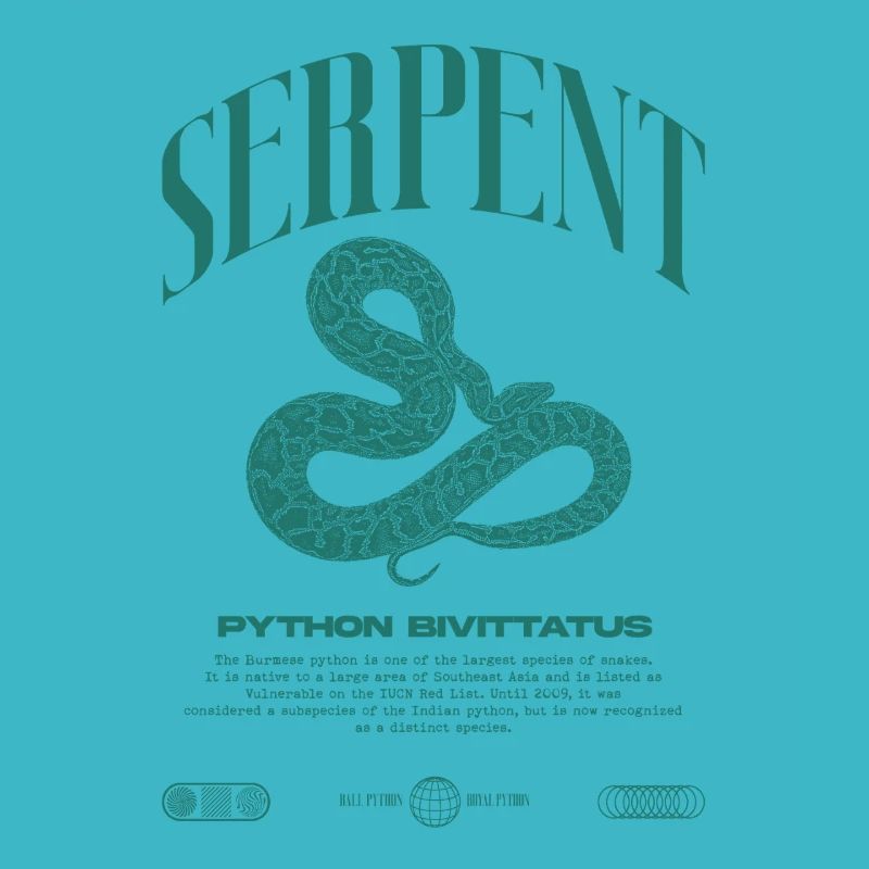 Burmesische Python Moderne Reptilienhalter Streetwear