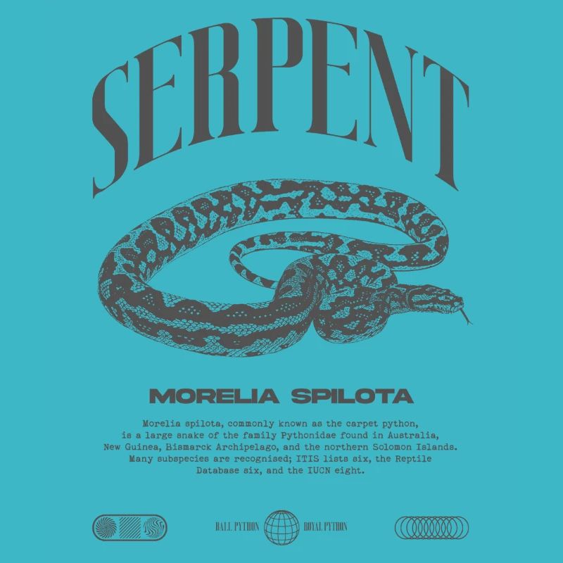 Tapis Python Moderne Reptile Keeper Streetwear