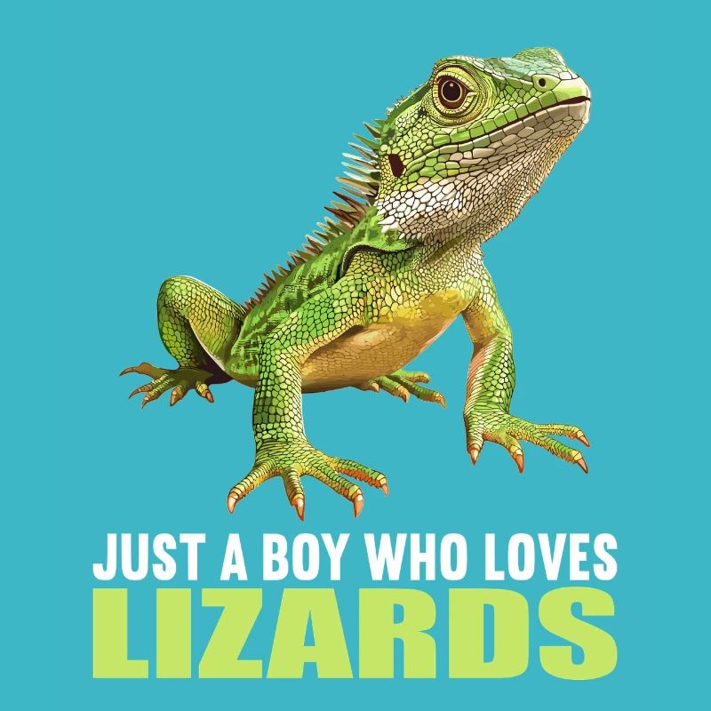 Lizards Lizard