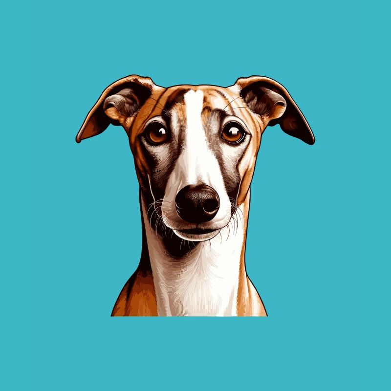 Visage de chien - Whippet