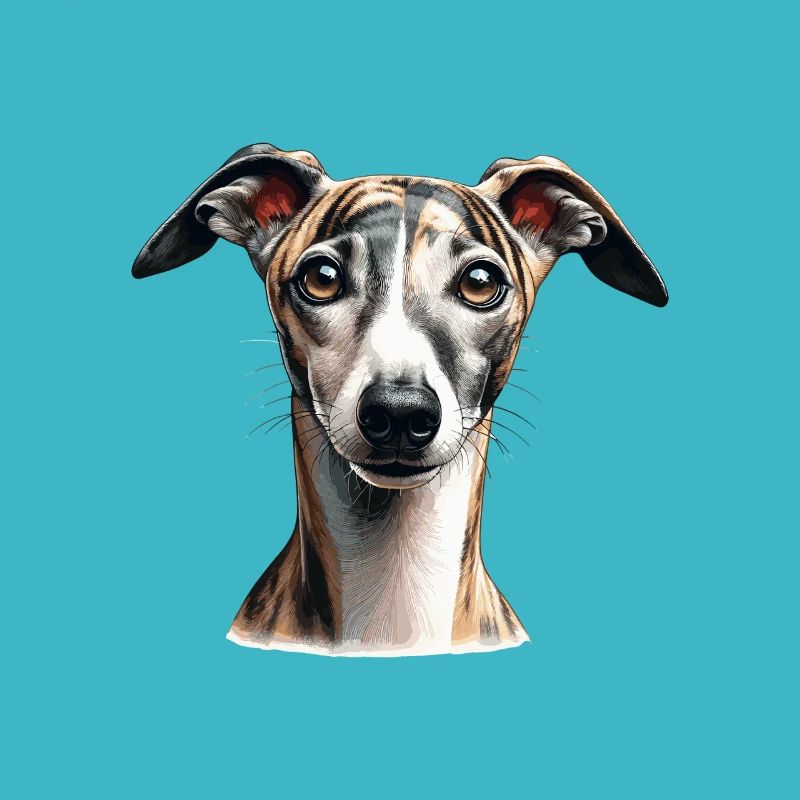 Hundegesicht - Whippet