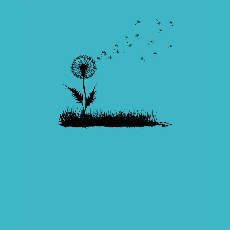 Pissenlit et prairie d’herbe