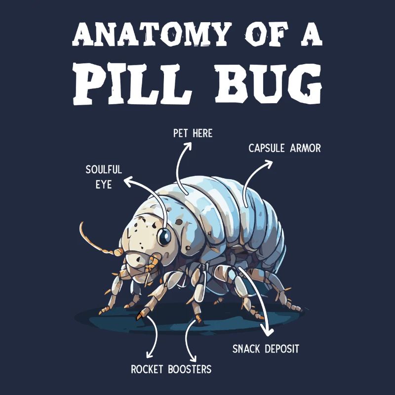 Anatomie Eines Pillenbugs