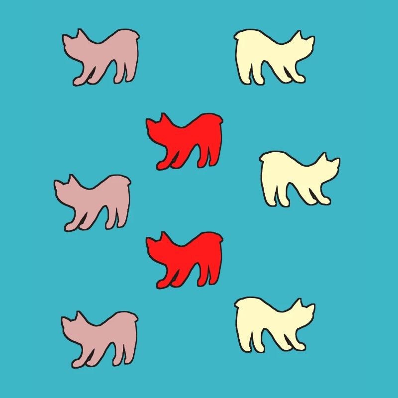 Chats sans queue