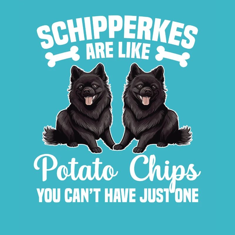 Les Schipperkes sont comme des chips que vous