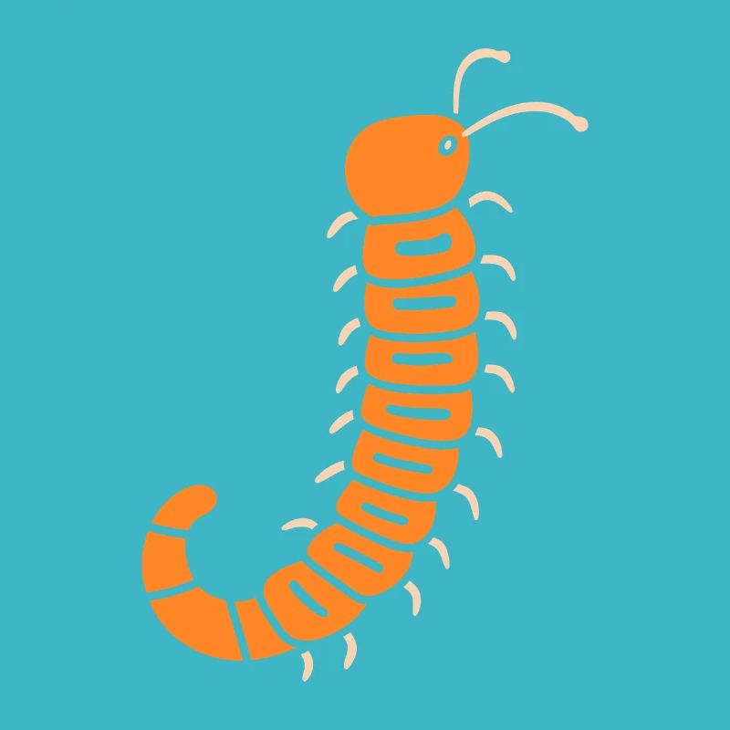 mille-pattes
