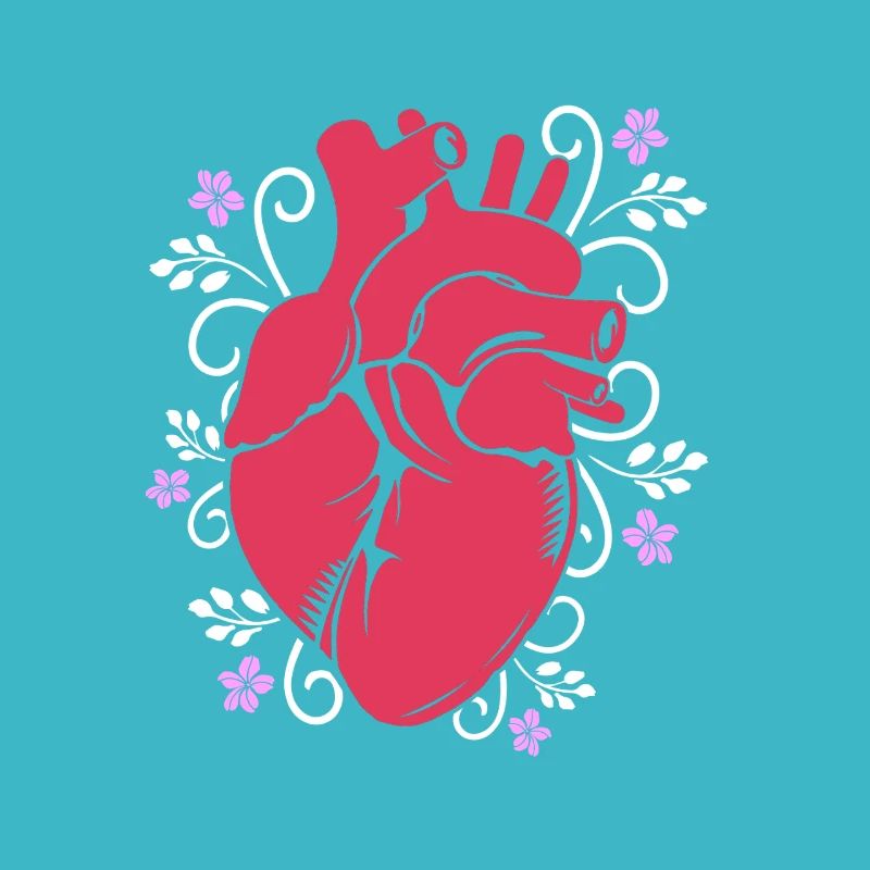 Cardiogramme, cardiographie, échographie, échographie