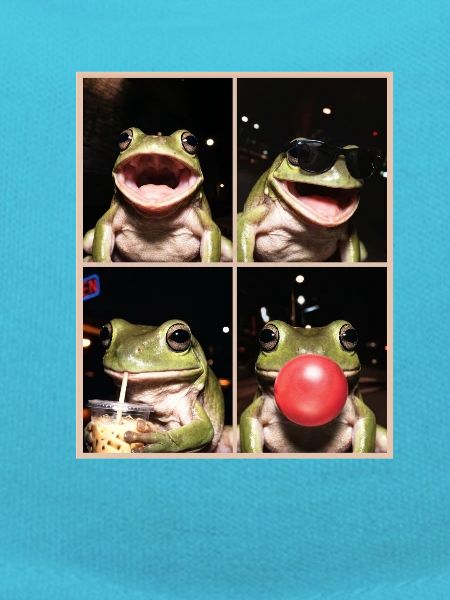 Frösche Frosch