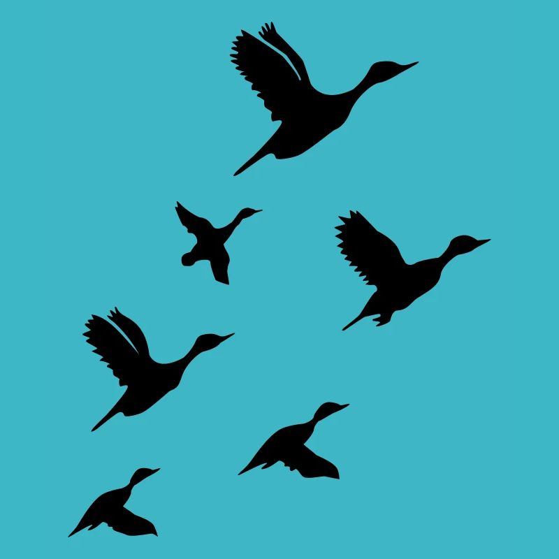 Flying Ducks