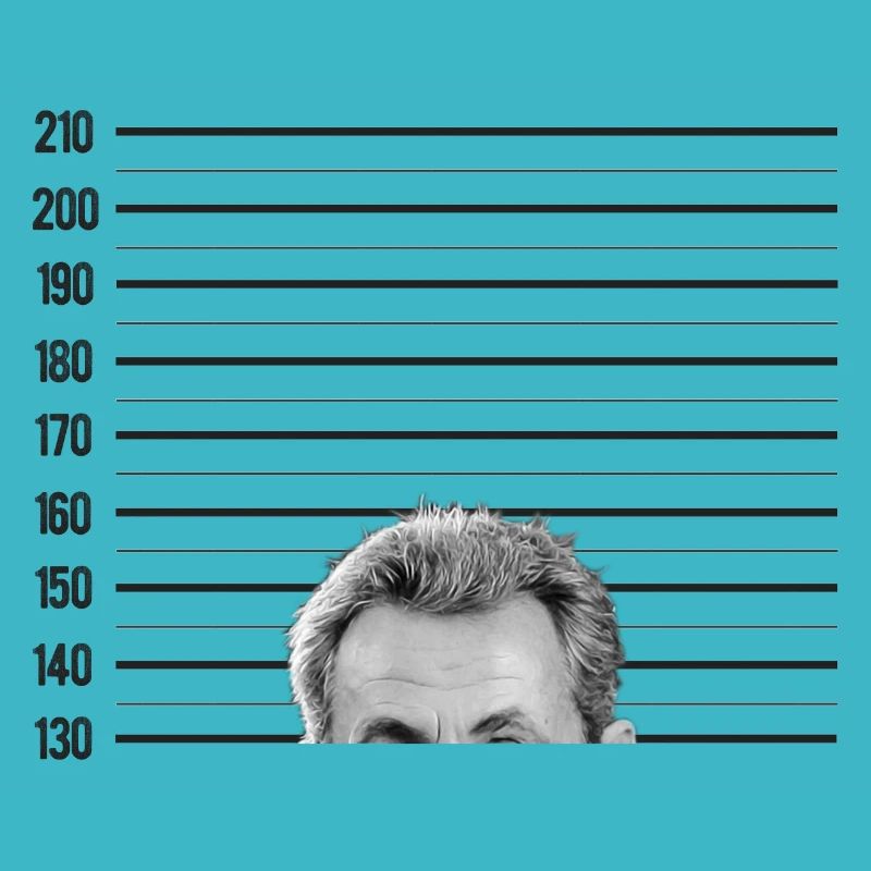 Sarko ZonZon