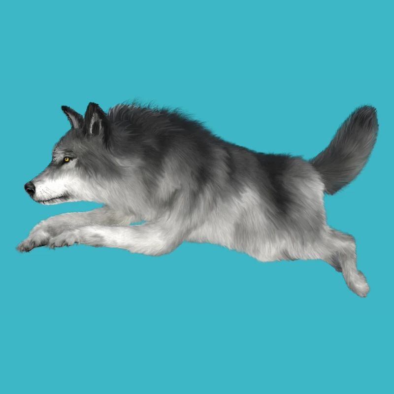 Grauer Wolf rennt