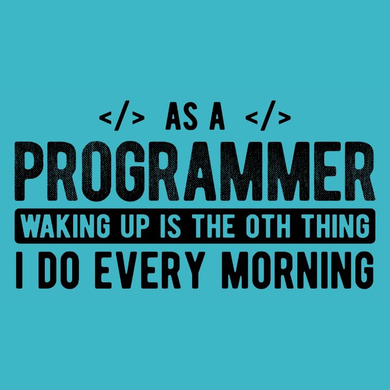 Software Ingenieur Informatiker Programmierer