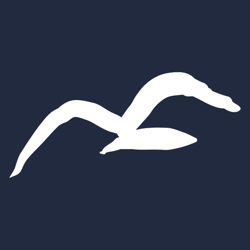 Möwe
