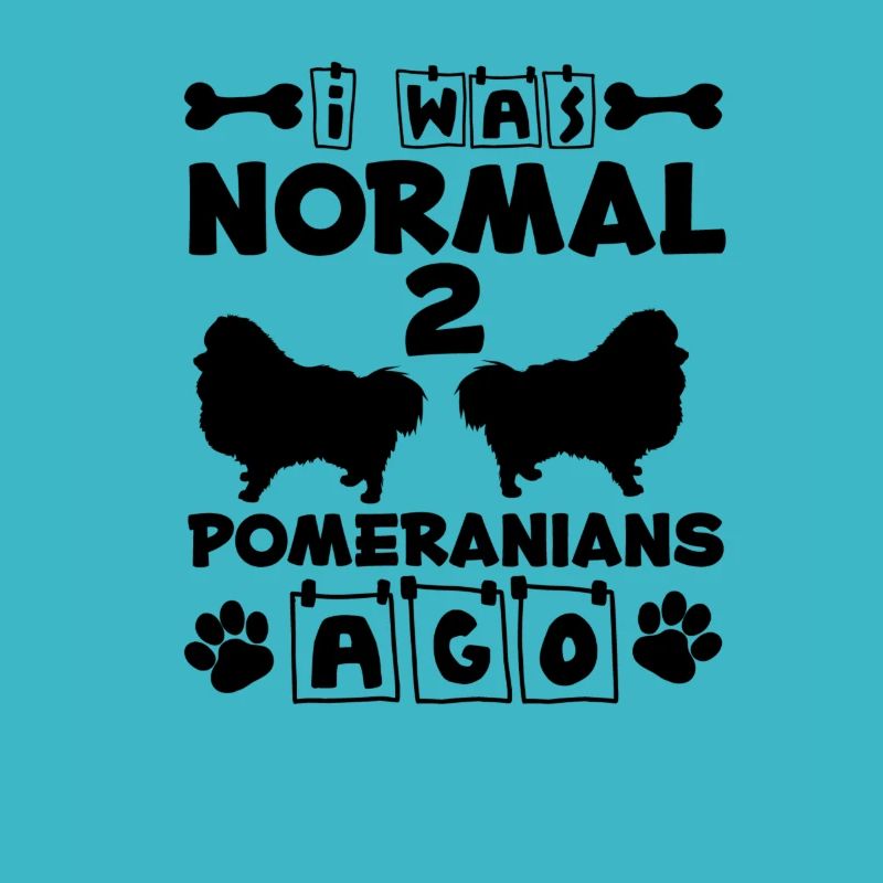 Spitz Pomeranian Zwergspitz Chien