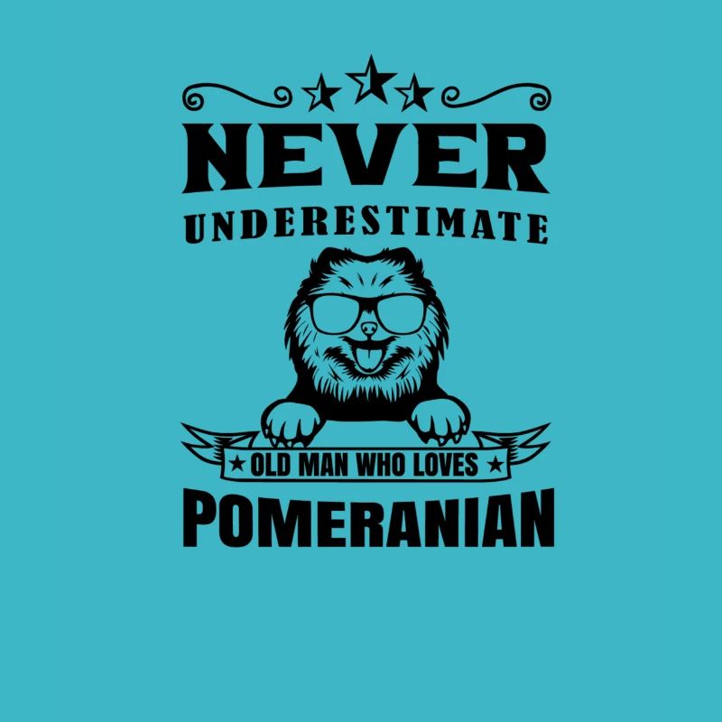 Spitz Pomeranian Zwergspitz Chien