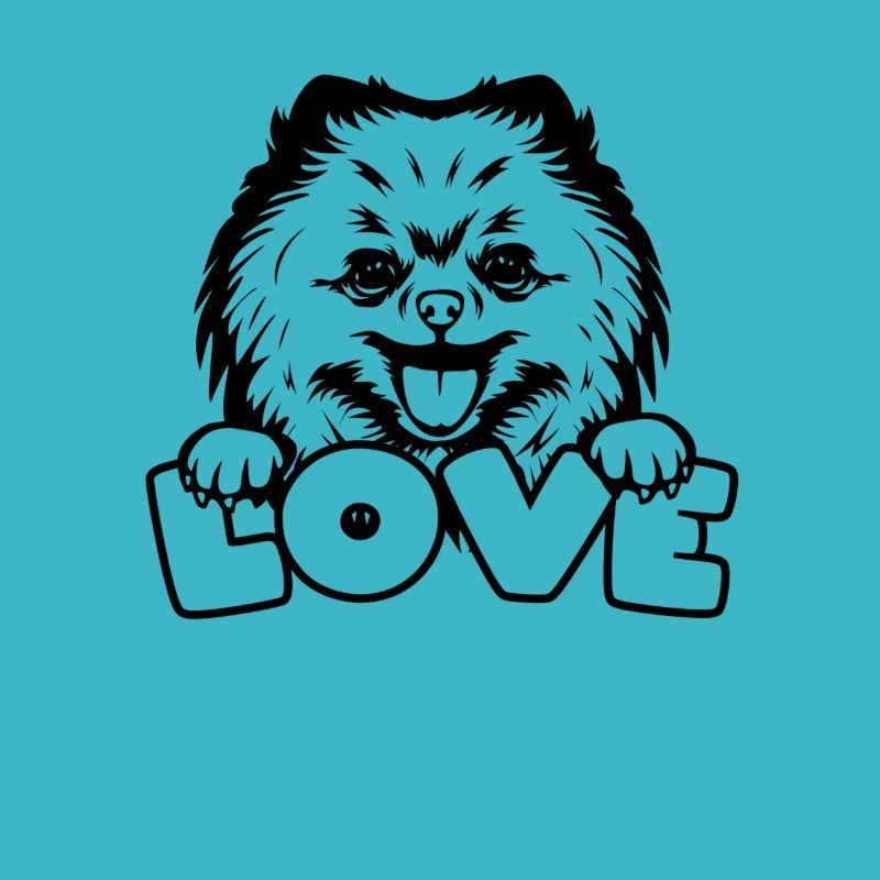 Spitz Pomeranian Zwergspitz Chien