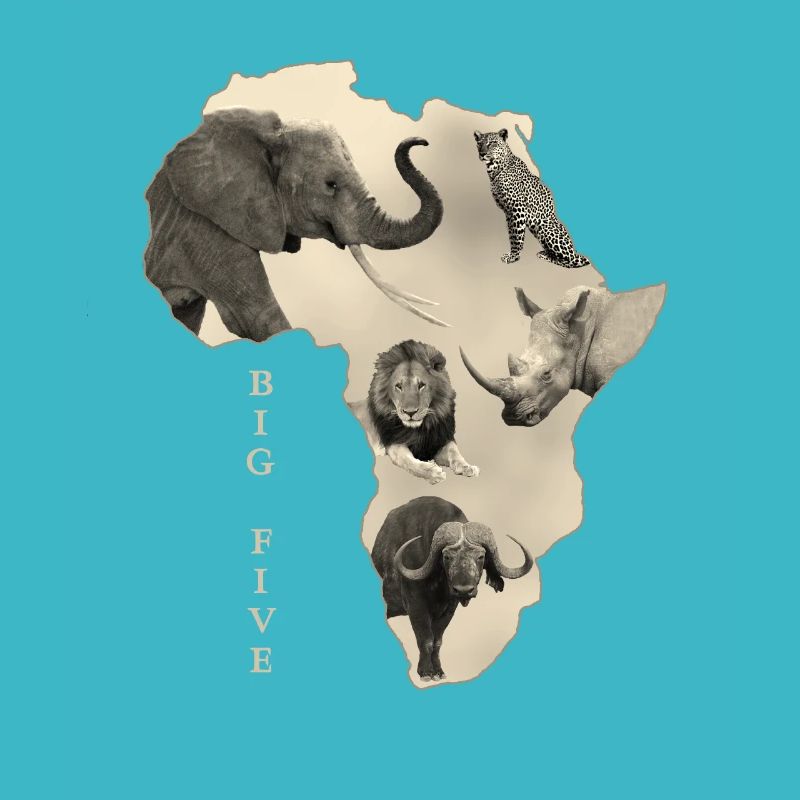 Afrique Big 5 - Eléphant Lion Léopard Rhinocéros Buffle