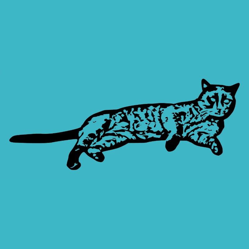 Chat chat noir chaton