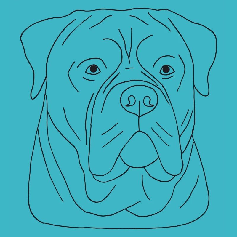 Bullmastiff Kopf