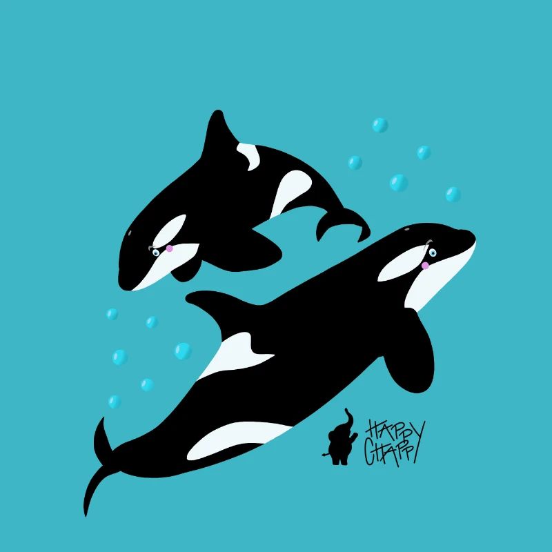 Orques dans la mer