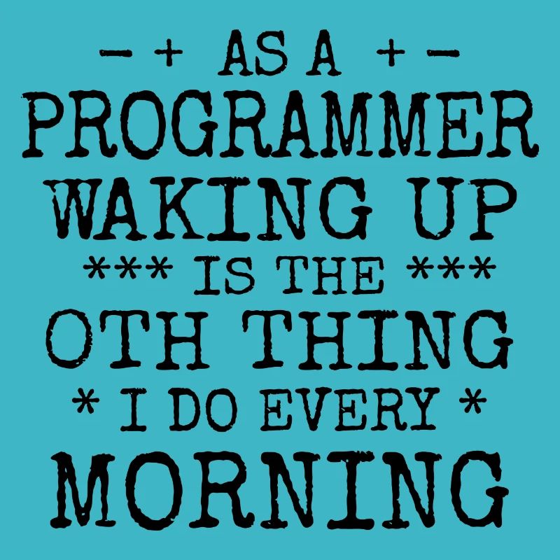 Software Ingenieur Informatiker Programmierer