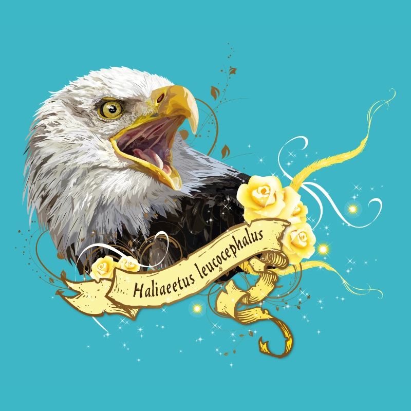 Bald eagle