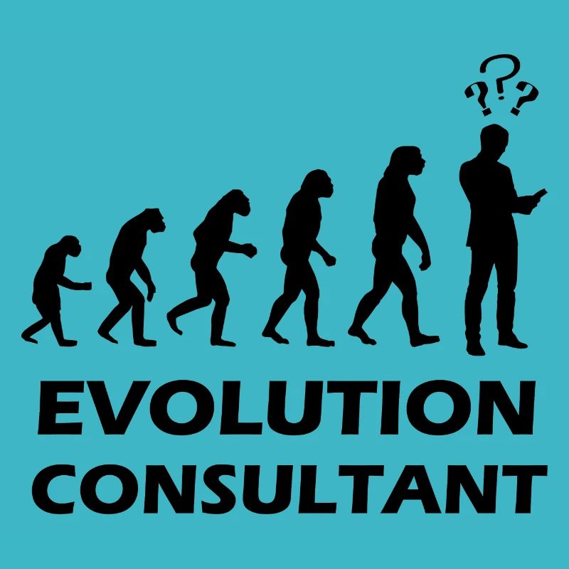 Evolution Consultant Consultant Auditeur
