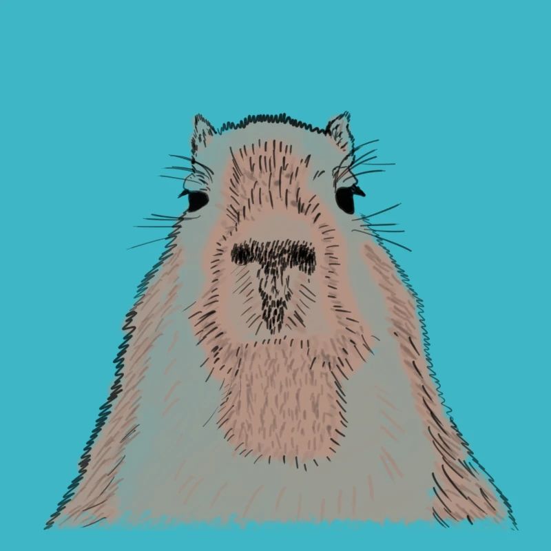 Capybara - capybara