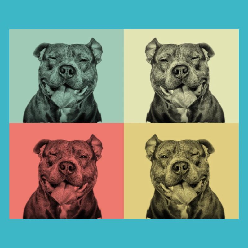 Pitbull - Smiling pit face