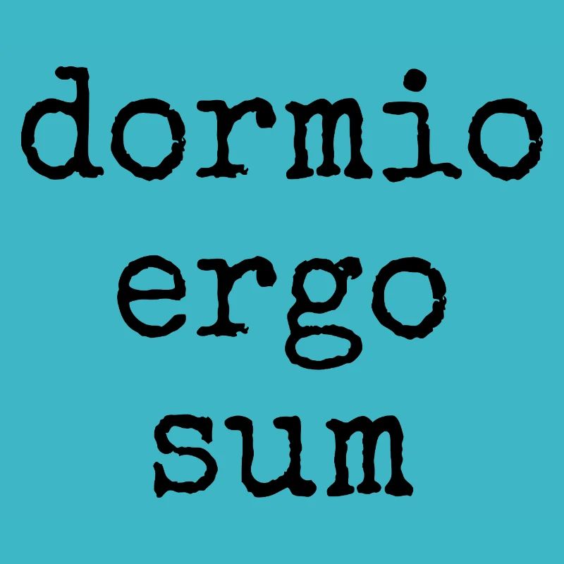 dormio ergo sum - ich schlafe also bin ich