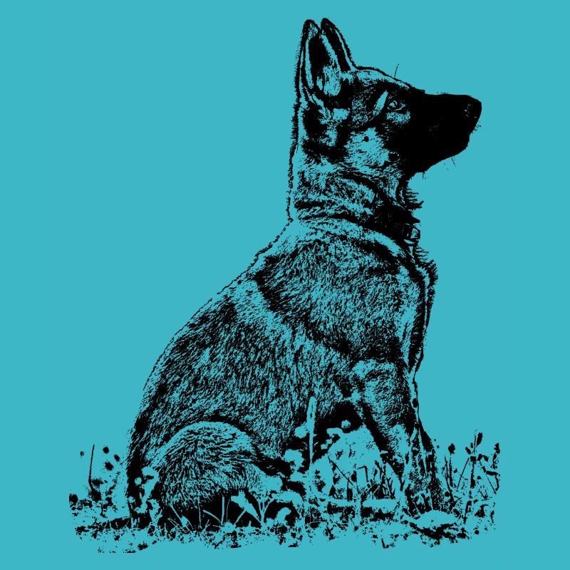 Schaeferhund Welpe