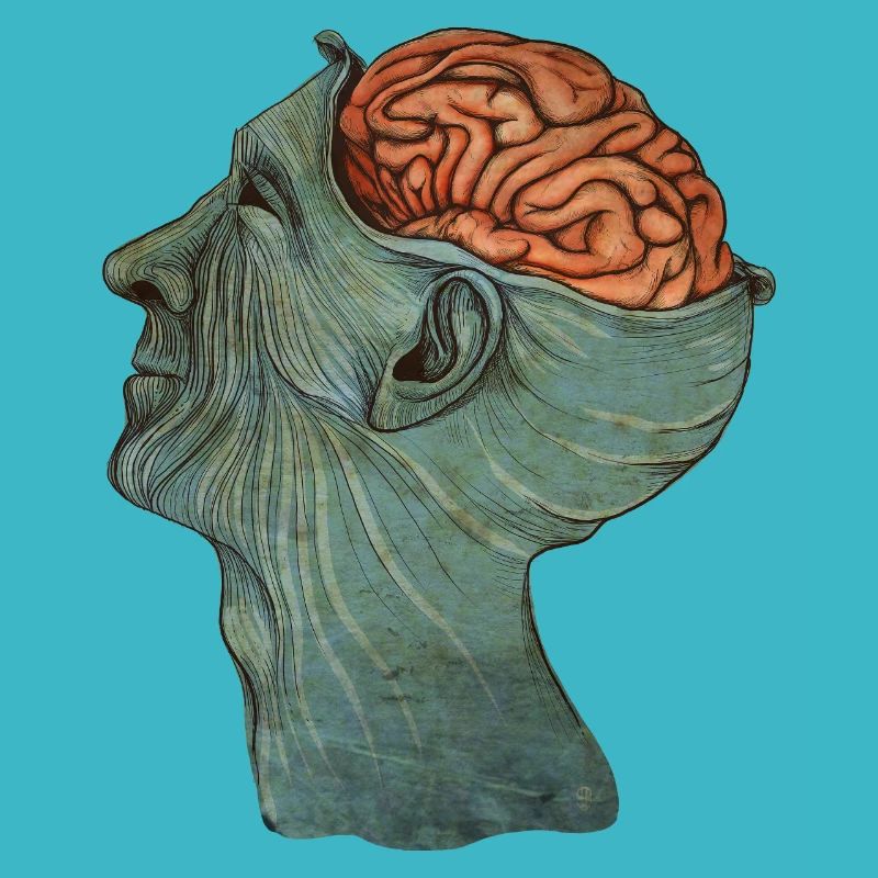 Brain