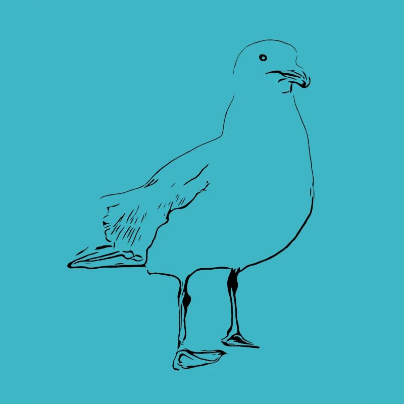 Möwe Maritim Vogel Meer Seefahrer Küste