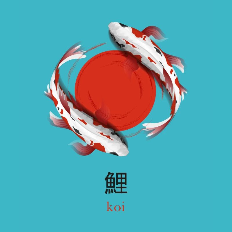 Koi Fish Japan