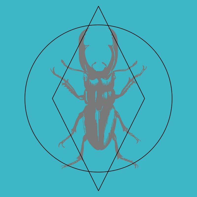 stag beetle