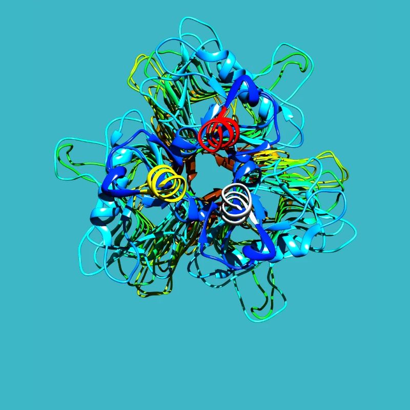 Natives Tailspike Protein Molekül Bakteriophage