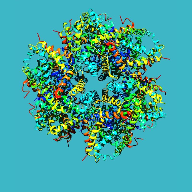 Cool Protein Molecule Chemistry Nerd Hemoglobin